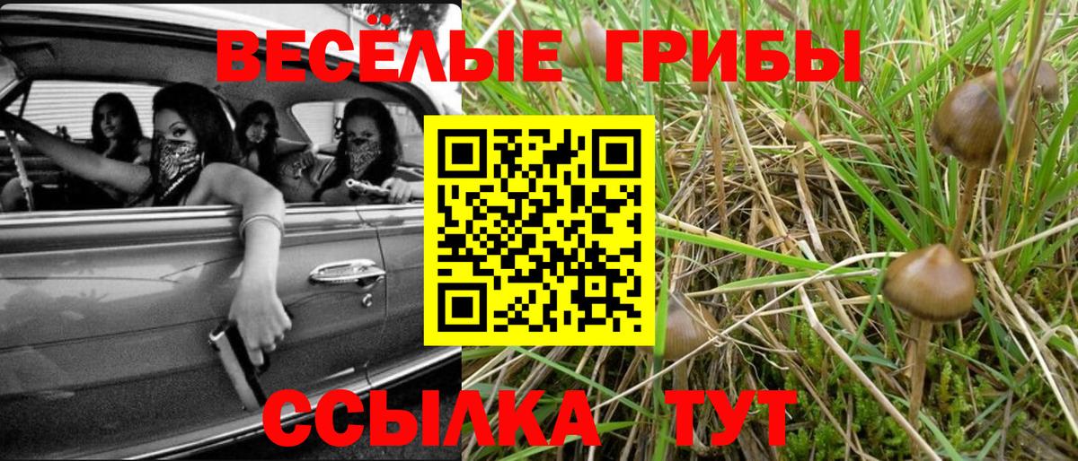 Протвино  Псилоцибиновые грибы мухоморы  Вход с VPN 