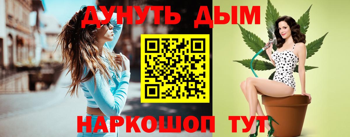 Шишки марихуана планчик  Вход с VPN  Каннабис планчик  Протвино  Канабис Bruce Banner  Бошки марихуана конопля 
